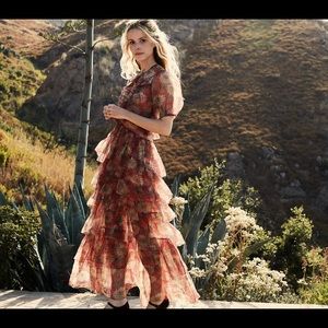 NWT DOEN Armando Dress // JARDIN DES PLANTES